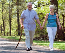 Wandelen vanaf een van de mooiste vakantieparken Gelderland