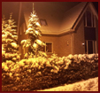 Kerstvakantie Vakantiepark de Berkenhorst